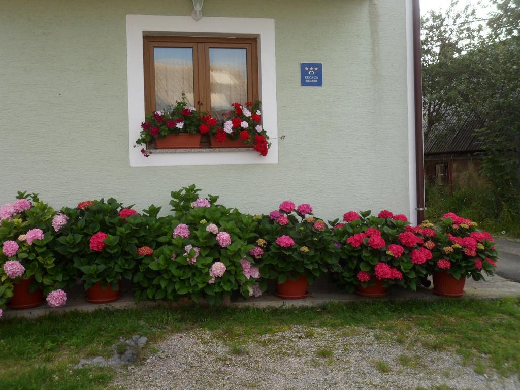 Vacation Home Kuca Za Odmor クラスノ・ポーイエ 部屋 写真